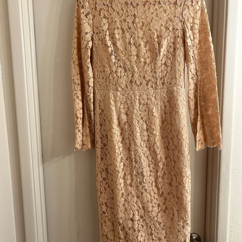 Elegant Lace Dress in light pink Cream
